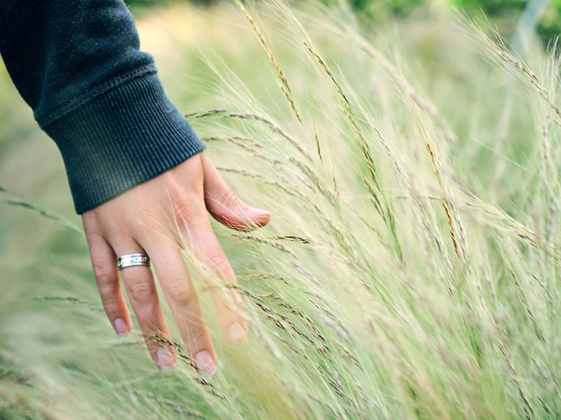 A woman ending a serious relationship running her hand through a wheat field.