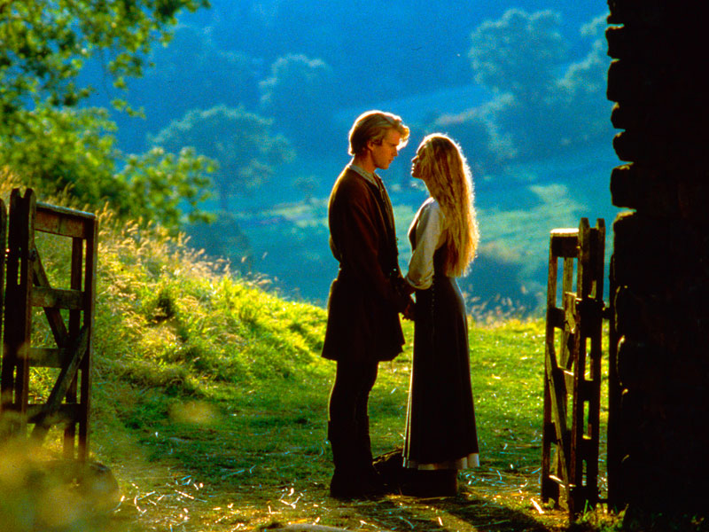 A scene from The Princess Bride where Wesley gives one of these declarations of love.