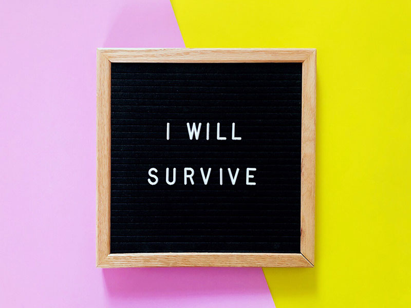 A board with one of these broken heart quotes written on it. I will survive.