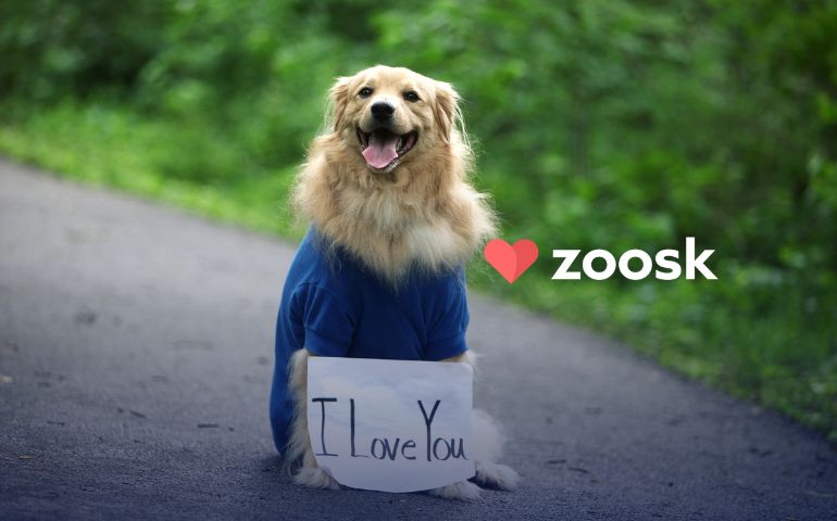 Picture of a dog with a sign that says I love you. Different ways on how to say I love you.